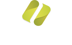 norlog logo sin fondo